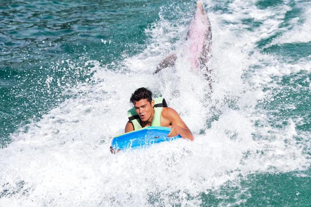 Nado com Golfinhos interação animais Punta Cana