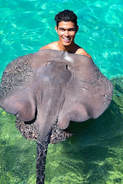 Família durante interação com golfinhos no Dolphin Island Park