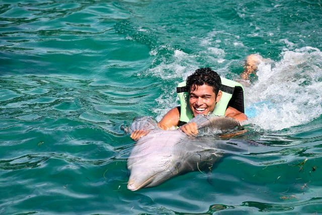 Nado com golfinhos em águas profundas, incluindo foot push