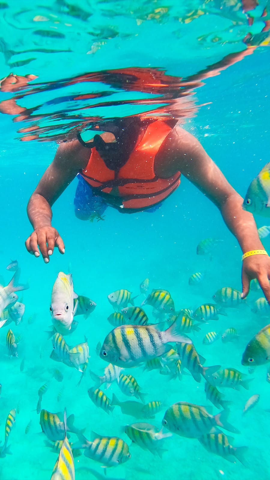 Atividade de snorkeling durante o passeio de catamarã