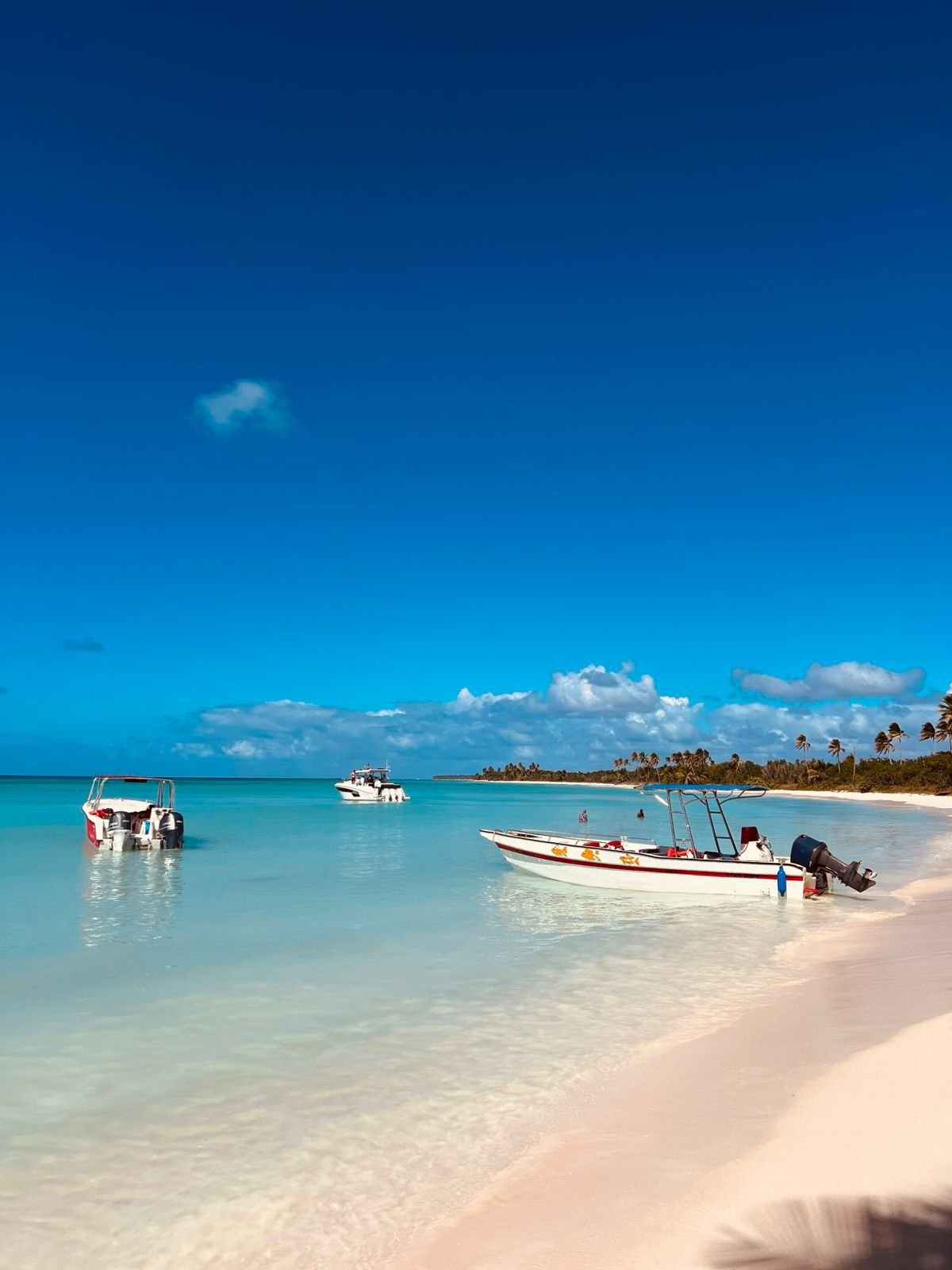 ilha saona vista panoramica