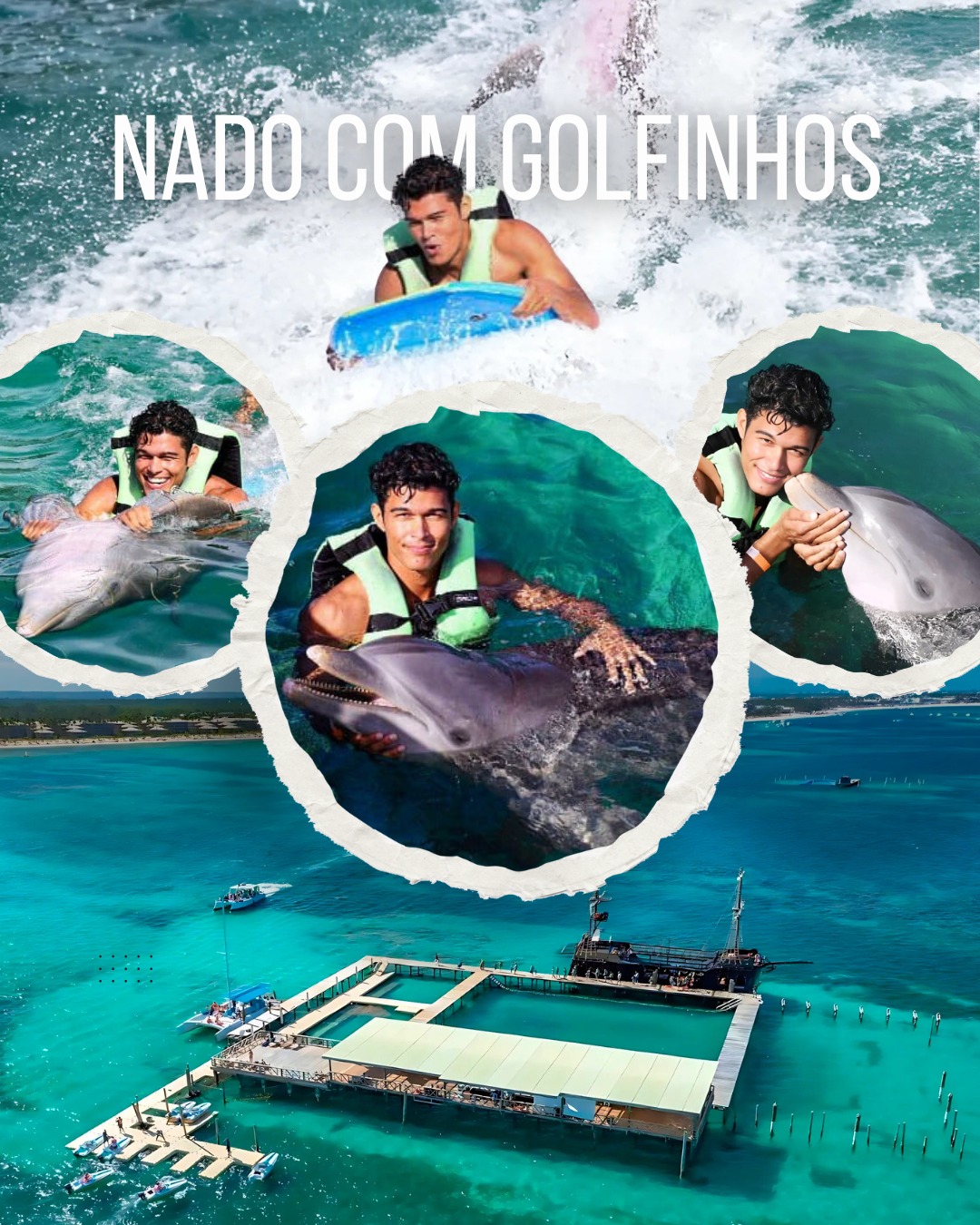 nado com golfinhos