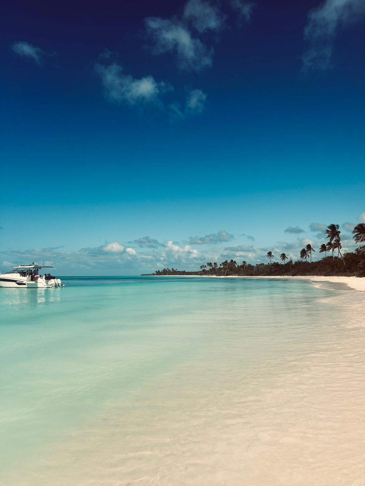 Piscina natural com estrelas-do-mar no passeio Ilha Saona, Punta Cana